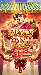 rr66 · Fortune Ox